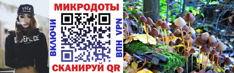 Галлюциногенные грибы мицелий  Усть-Лабинск 